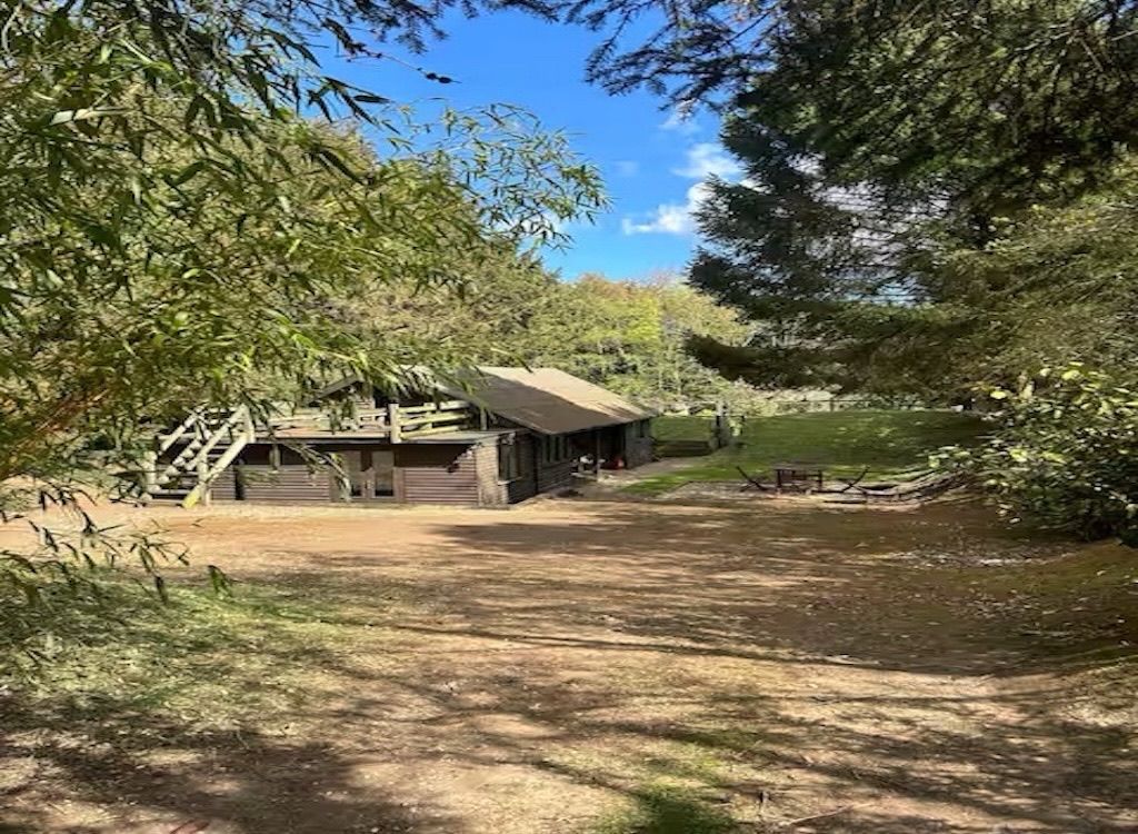 A rustic cabin with a wooden deck, surrounded by dense trees and a clear sky.