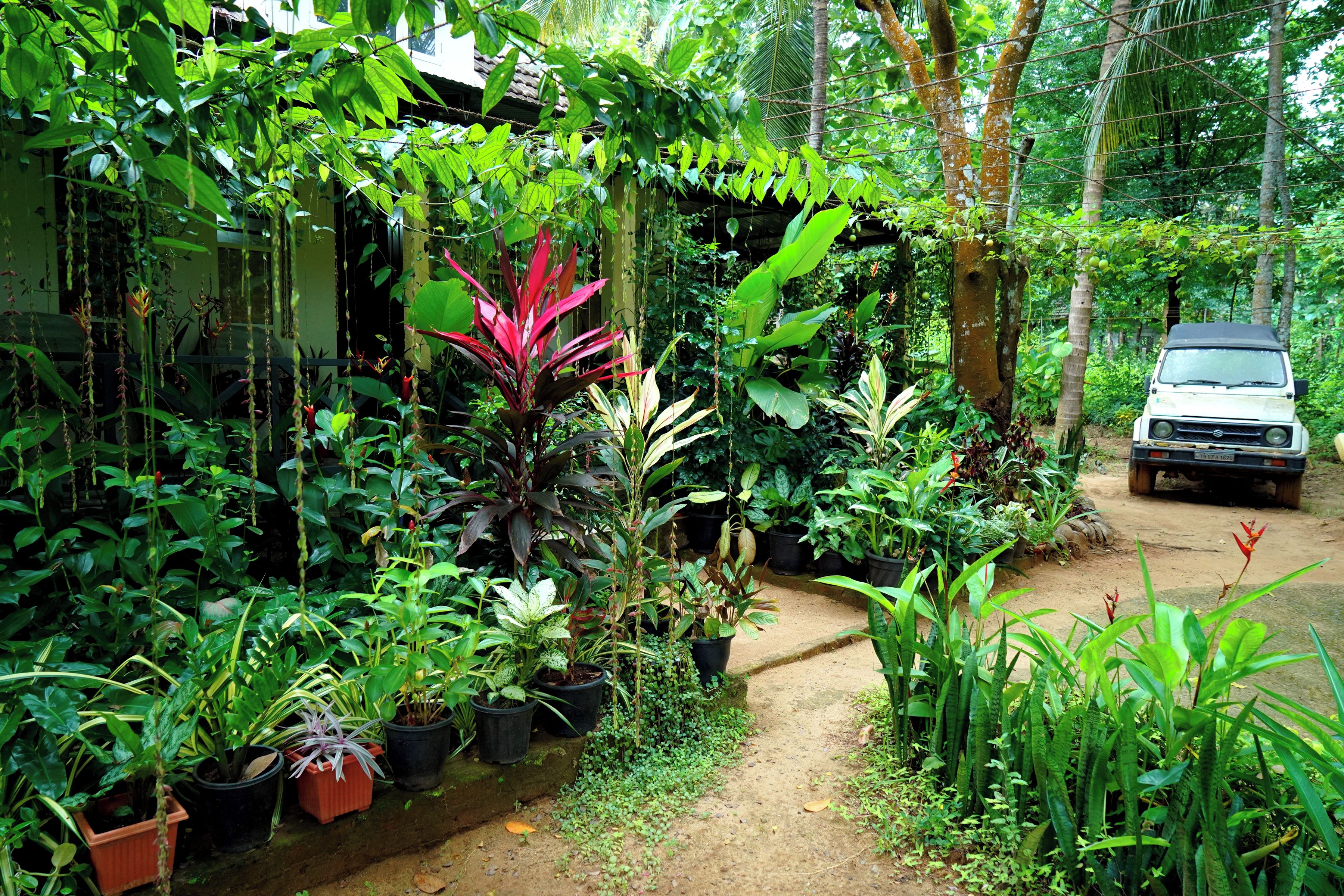 Un jardin avec différentes plantes en pot et un véhicule garé sur un chemin de terre.