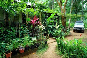 Un jardin avec différentes plantes en pot et un véhicule garé sur un chemin de terre.
