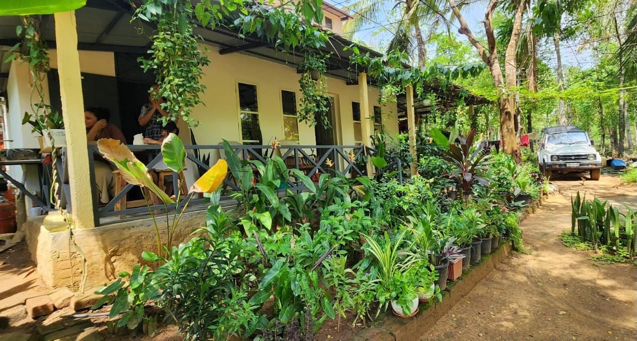 A covered outdoor area with a yellow building, potted plants, and a vehicle parked nearby.