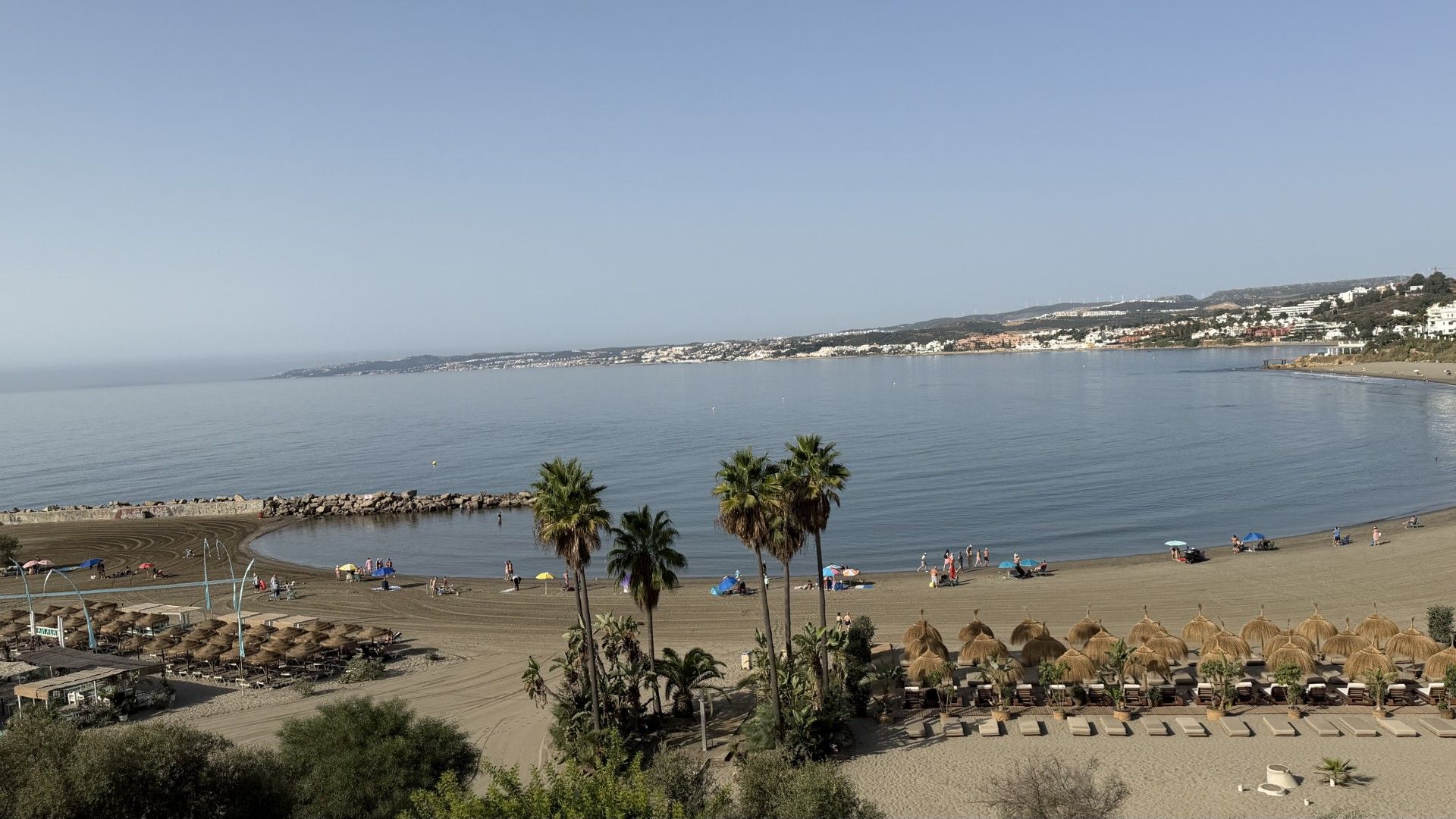 A beach with palm trees, sun loungers, and umbrellas.