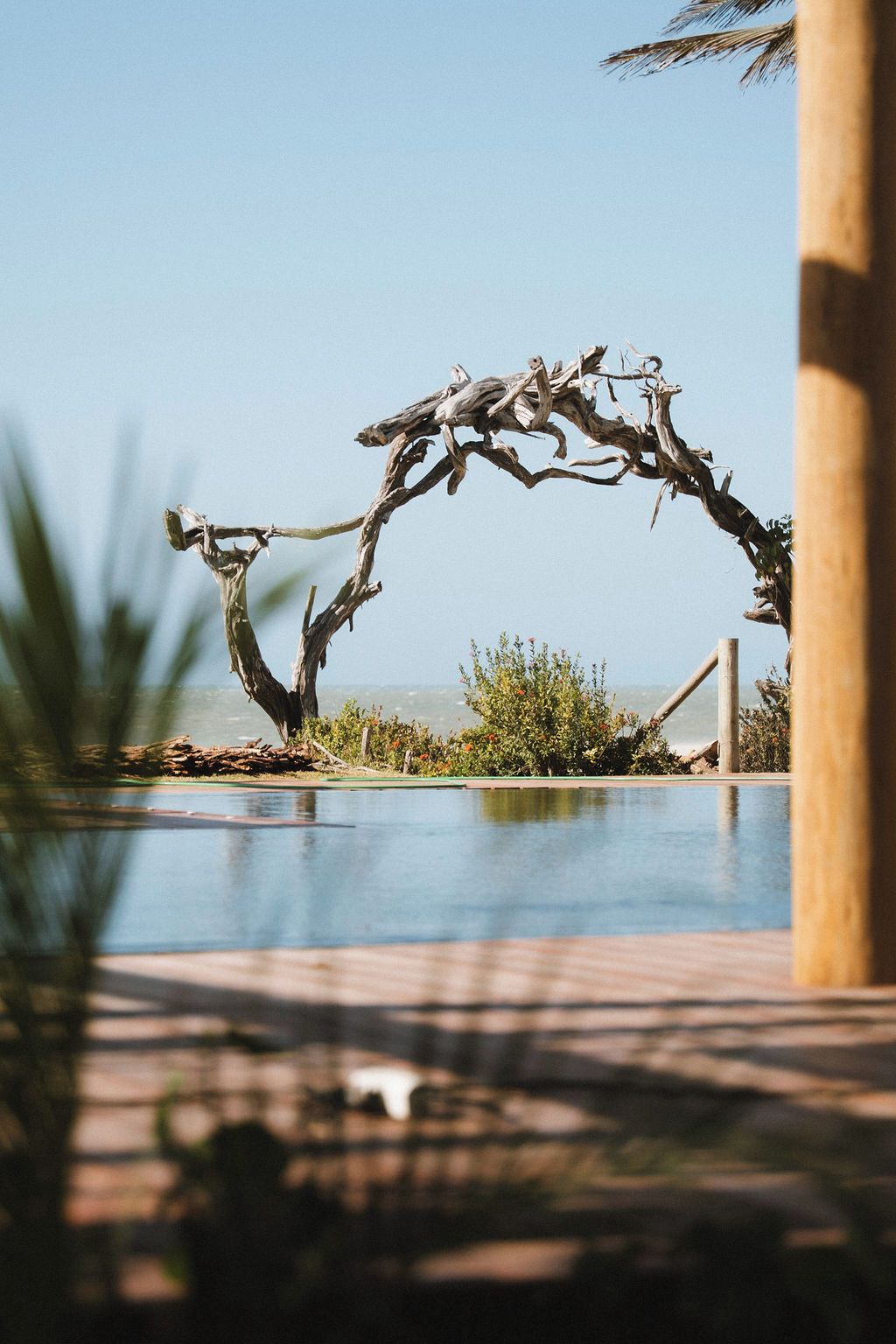 Zona de piscina con una estructura arbórea única que forma un arco sobre el agua.