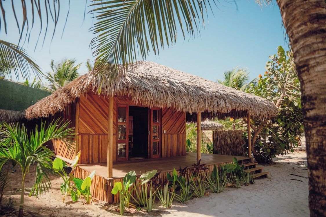 A wooden structure with a thatched roof, surrounded by tropical plants and palm trees.