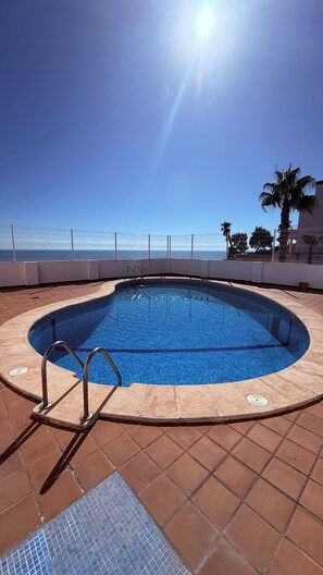 A swimming pool with a clear view of the ocean, surrounded by a white fence and a palm tree. - New Listing (VC)