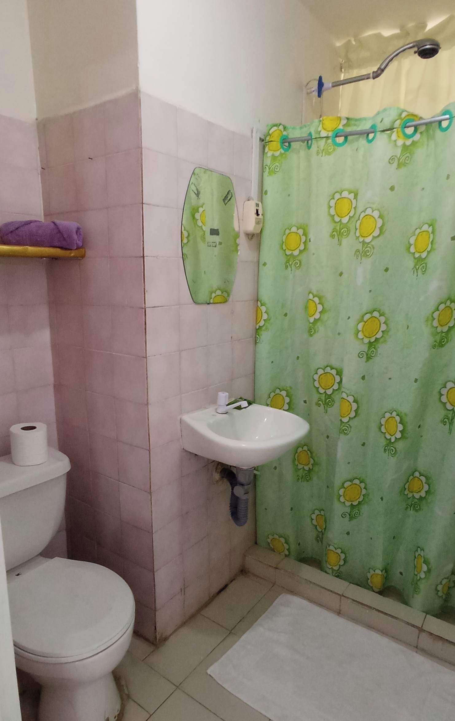 Een badkamer met toilet, wastafel en douchegordijn.