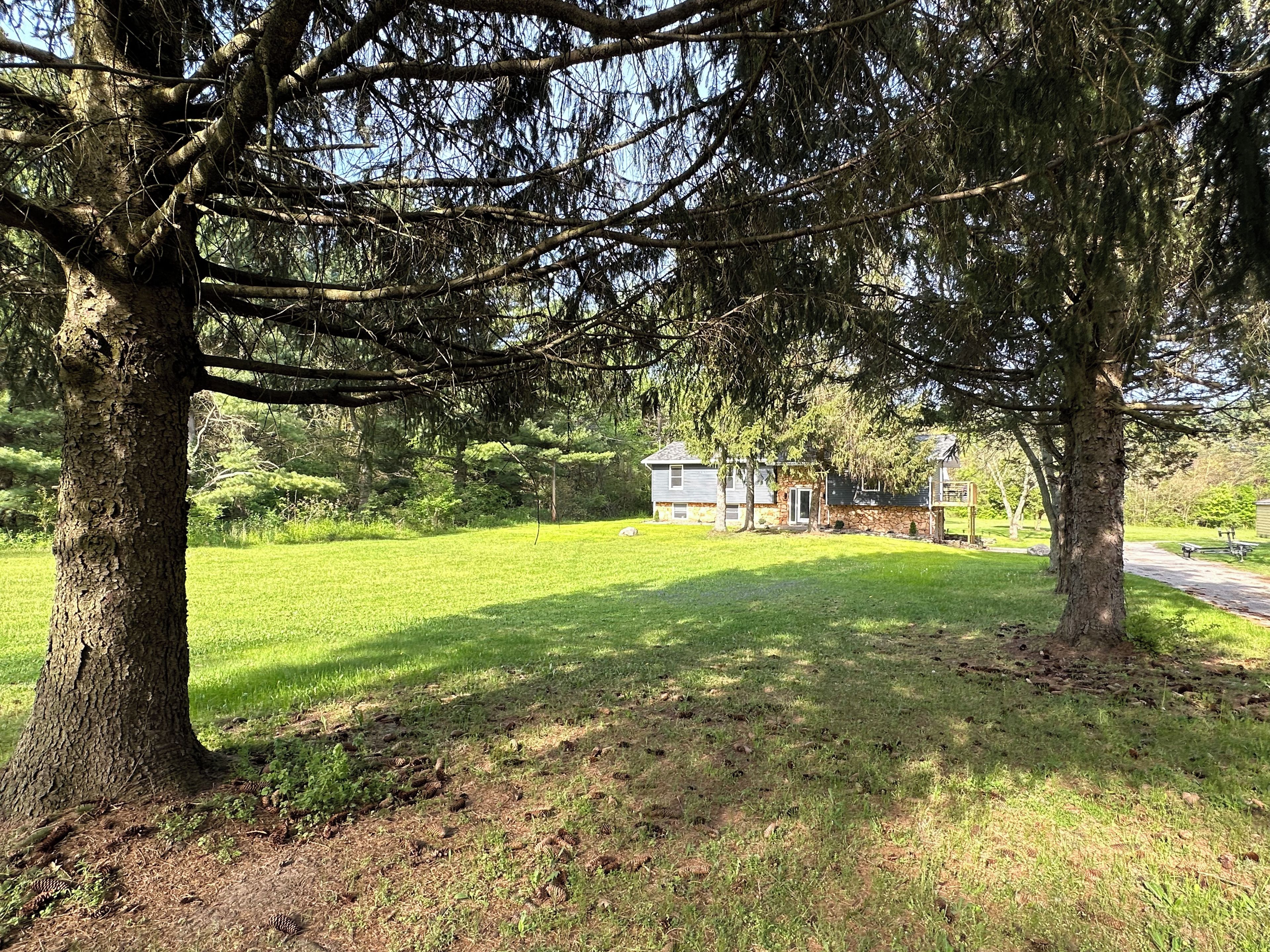 A grassy area with trees and a stone building in the background.