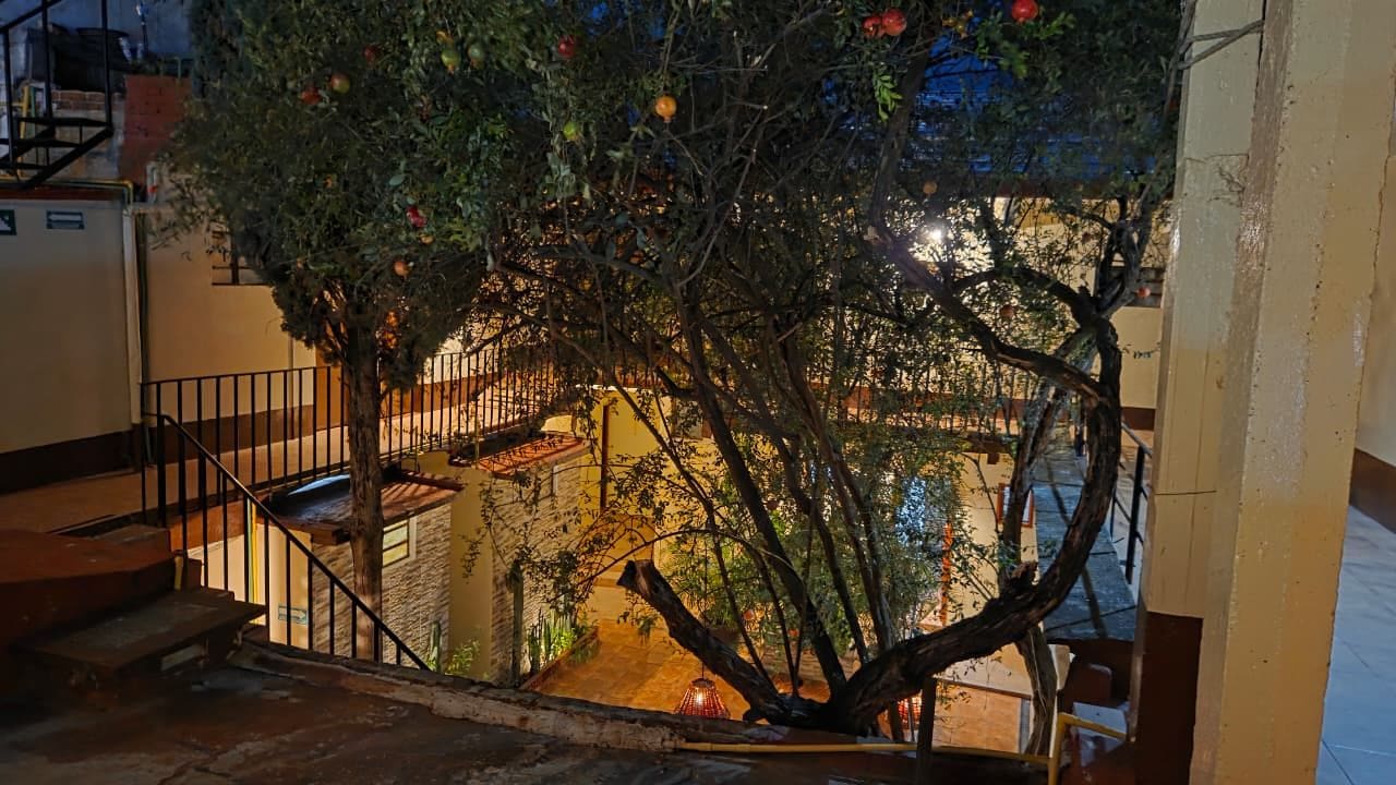 Eine Treppe mit einem Baum in der Mitte, umgeben von einem Geländer.