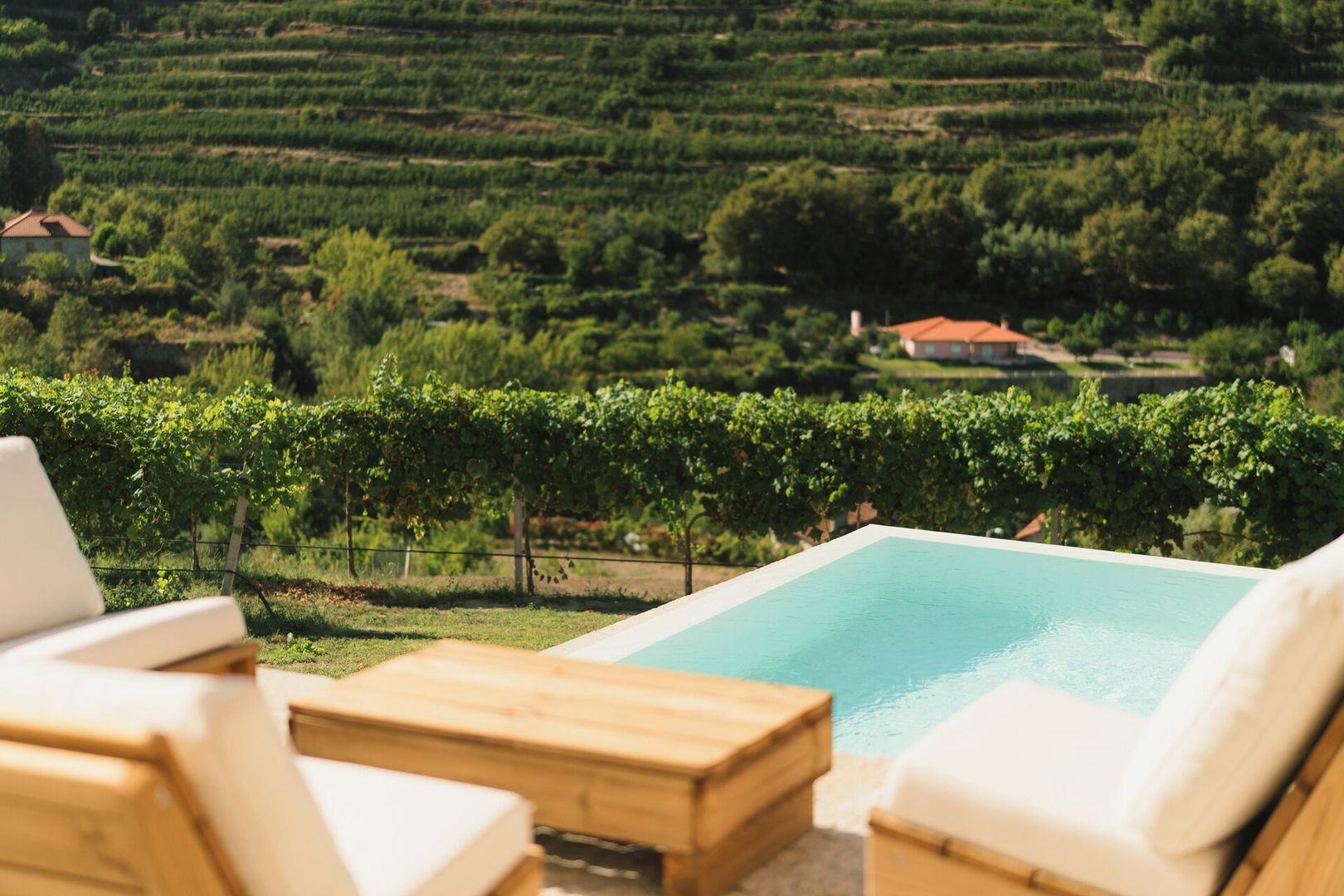 A poolside area with lounge chairs and a view of a vineyard.
