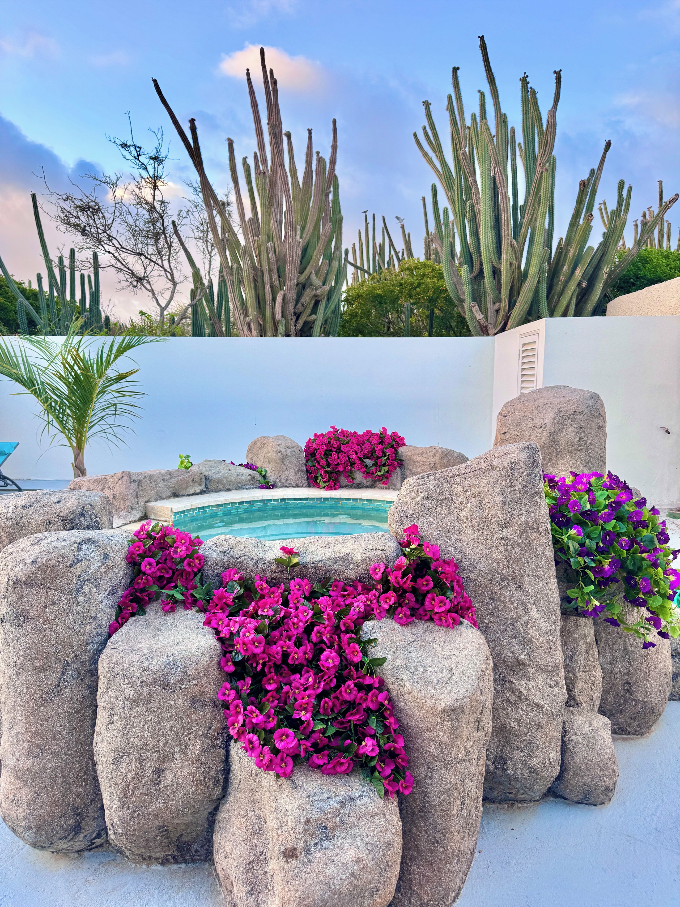 A pool area with surrounding rocks and cacti.
