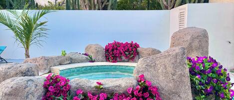 A pool area with surrounding rocks and cacti.