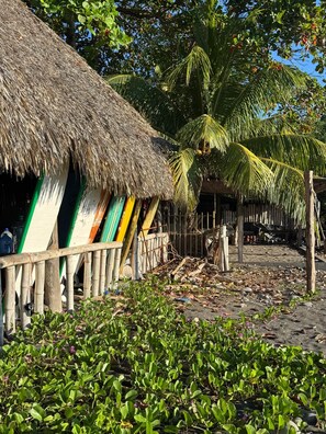 Una cabaña con techo de paja, con tablas de surf de colores apoyadas, rodeada de exuberante follaje y una palmera.