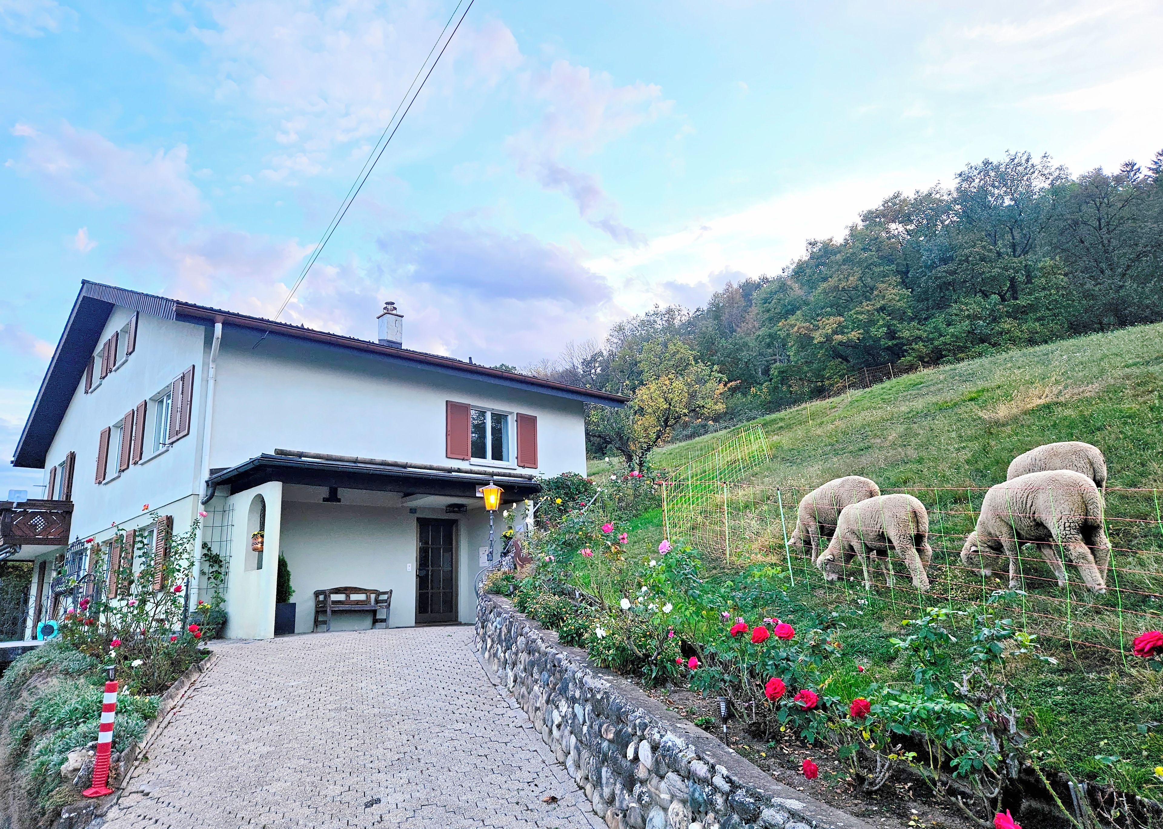 Une maison avec un chemin de pierres menant à un banc en bois, entourée d’un jardin où poussent des fleurs rouges et d’un espace clos où paissent des moutons.