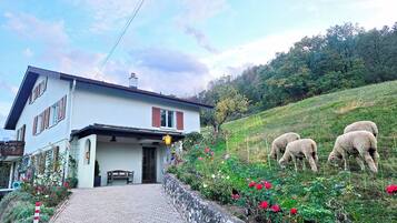 Une maison avec un chemin de pierres menant à un banc en bois, entourée d’un jardin où poussent des fleurs rouges et d’un espace clos où paissent des moutons.