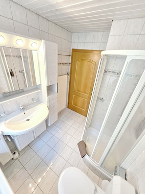 A bathroom with a sink, mirror, toilet, and shower. - Panorama House with a View of Three Countries (Sevelen)