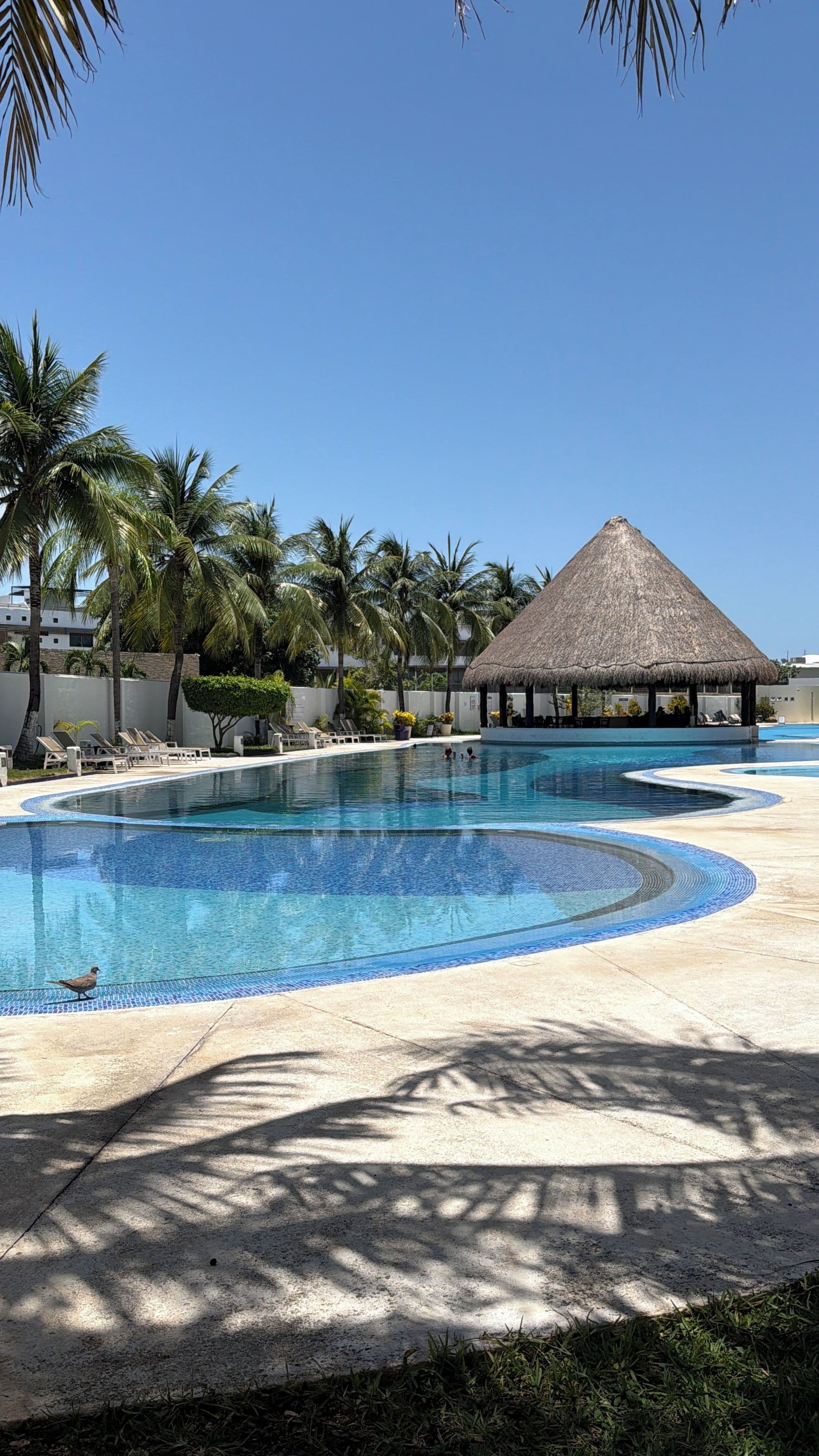 Une piscine entourée de chaises longues, de palmiers et d’une structure à toit de chaume.