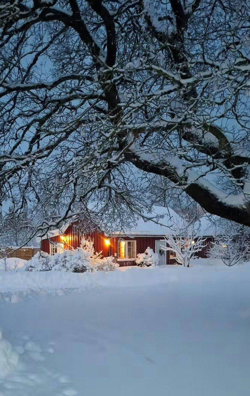 Un paysage enneigé avec une cabane en bois et un arbre au premier plan.