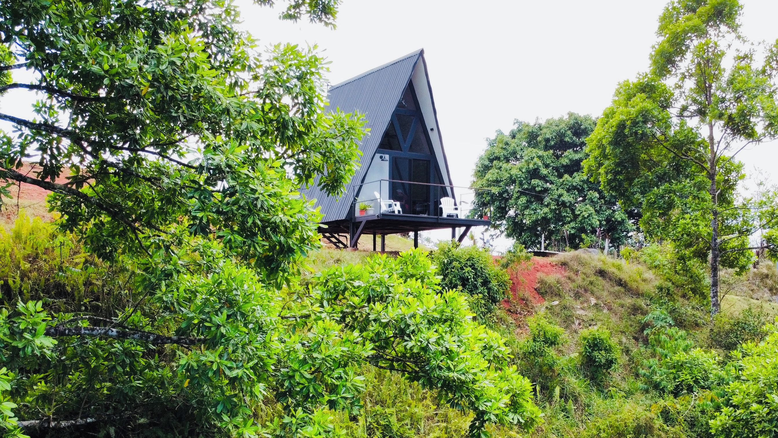 A modern building with a triangular roof, surrounded by lush greenery.