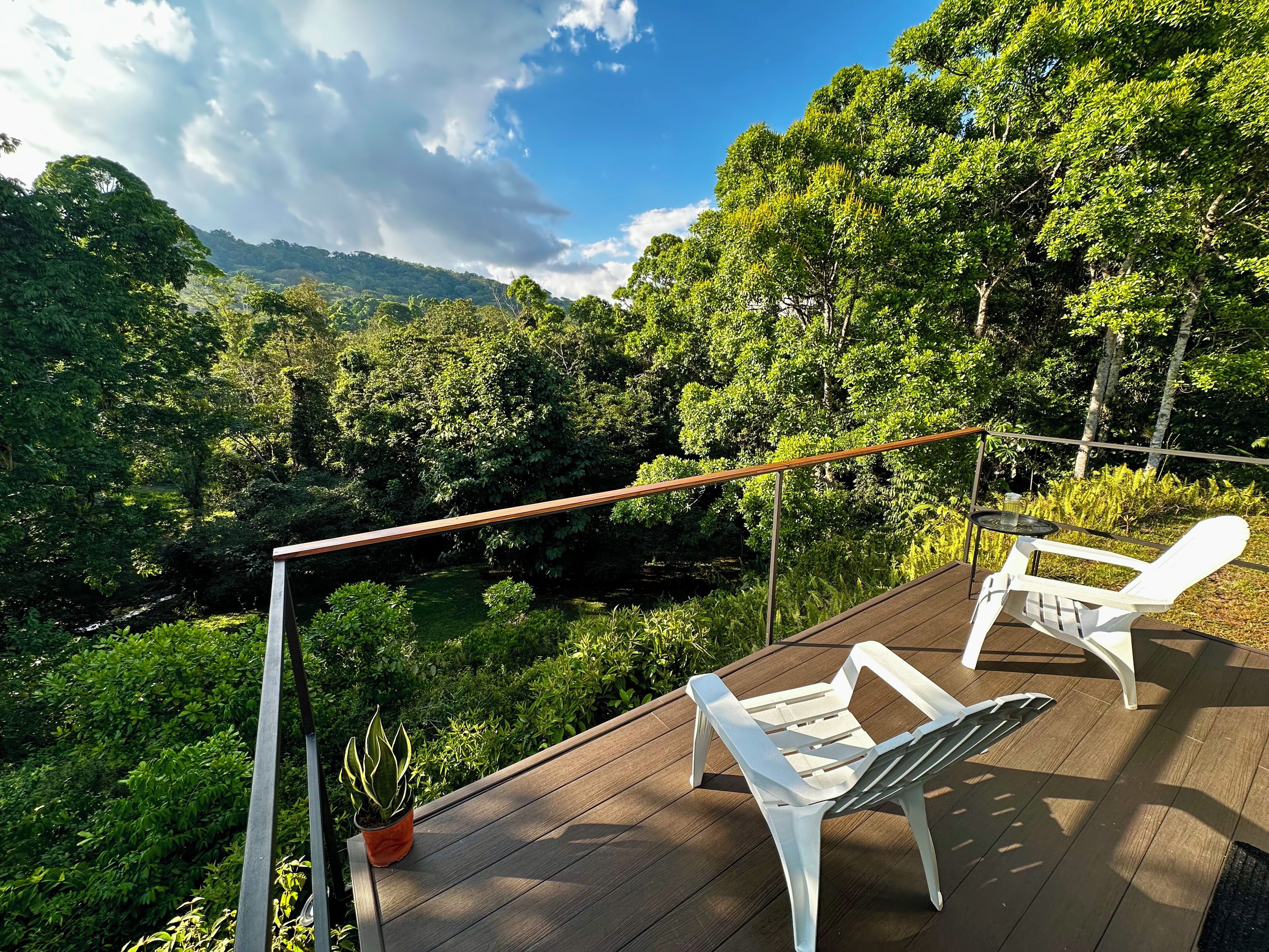 Una terraza con dos sillas blancas y una planta en maceta, con vista a un exuberante paisaje verde bajo un cielo despejado.