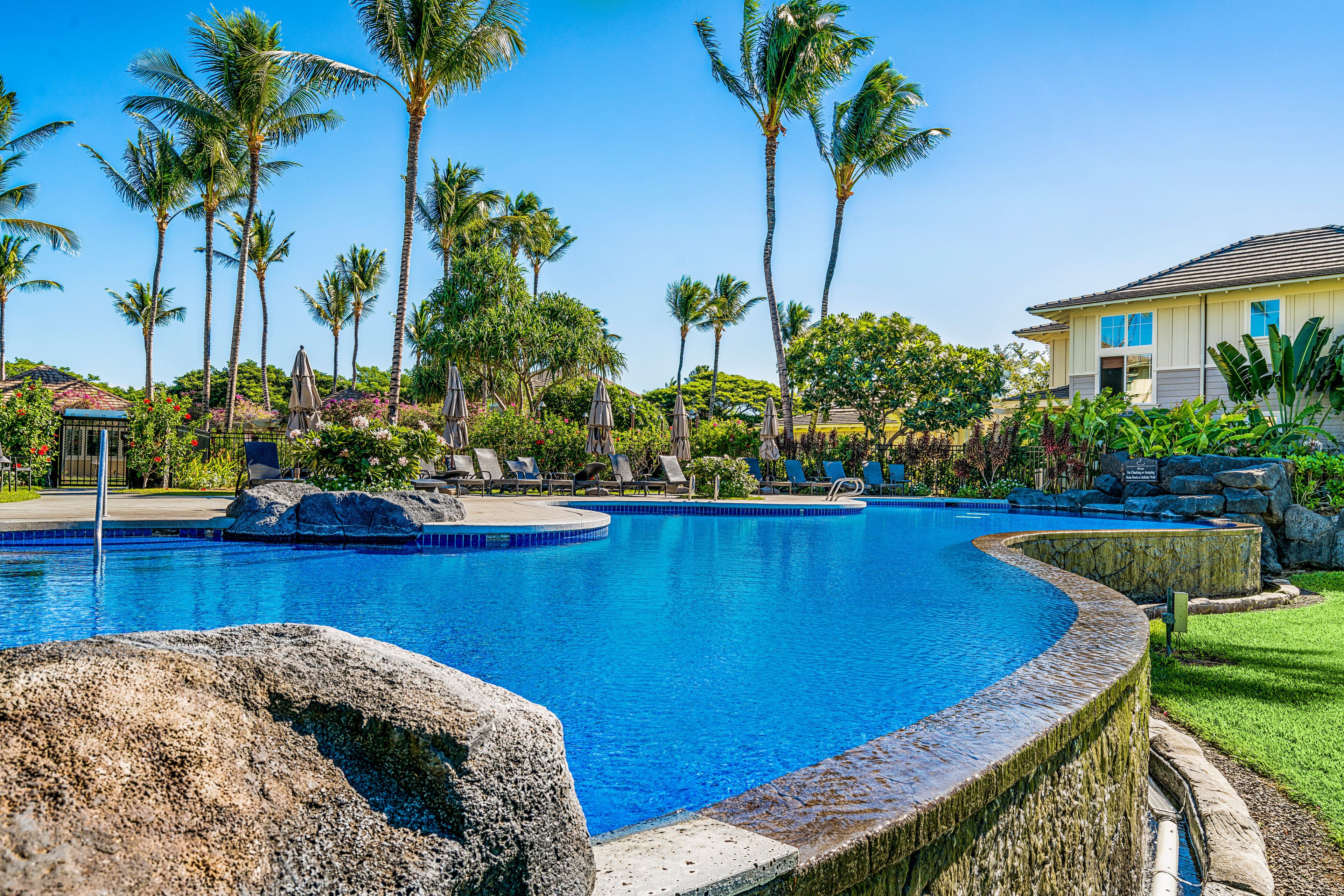 A swimming pool with a curved edge, surrounded by palm trees and a building with a yellow facade.