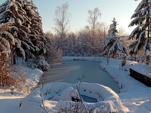 A snow-covered landscape with a frozen pond, trees, and a clear sky. - Modern Holiday Home in Slavonia with Heated Pool, Spa and Private Pond (Nova Kapela)