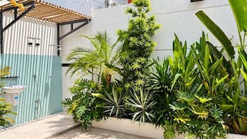 A modern outdoor space with a pergola, a variety of tropical plants, a small pool, and a blue gate.