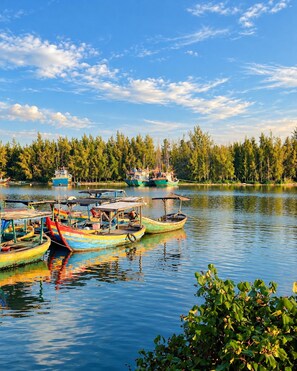 Un lago tranquilo con varias coloridas embarcaciones amarradas, rodeado de frondosos árboles verdes bajo un cielo despejado.