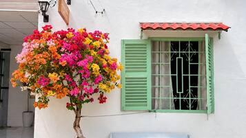 A white building with a bench and a potted plant with colorful flowers.