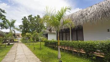 Un sendero conduce a un edificio con techo de paja, rodeado de vegetación y palmeras.