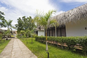 A pathway leading to a building with a thatched roof, surrounded by greenery and palm trees. - The Beach Resort (Koh Rong island)