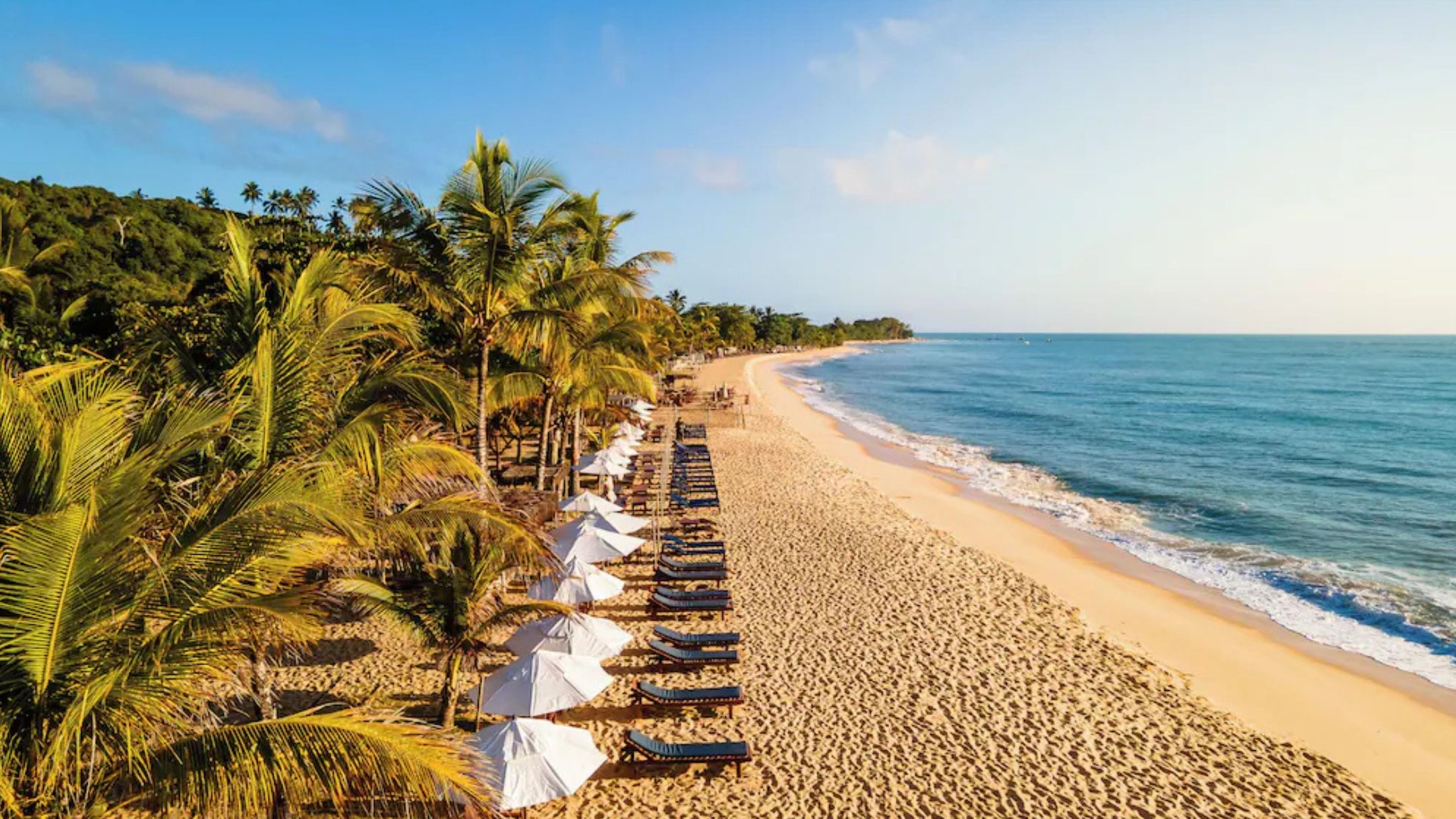 A beach with rows of sun loungers and umbrellas, palm trees, and a clear view of the ocean.