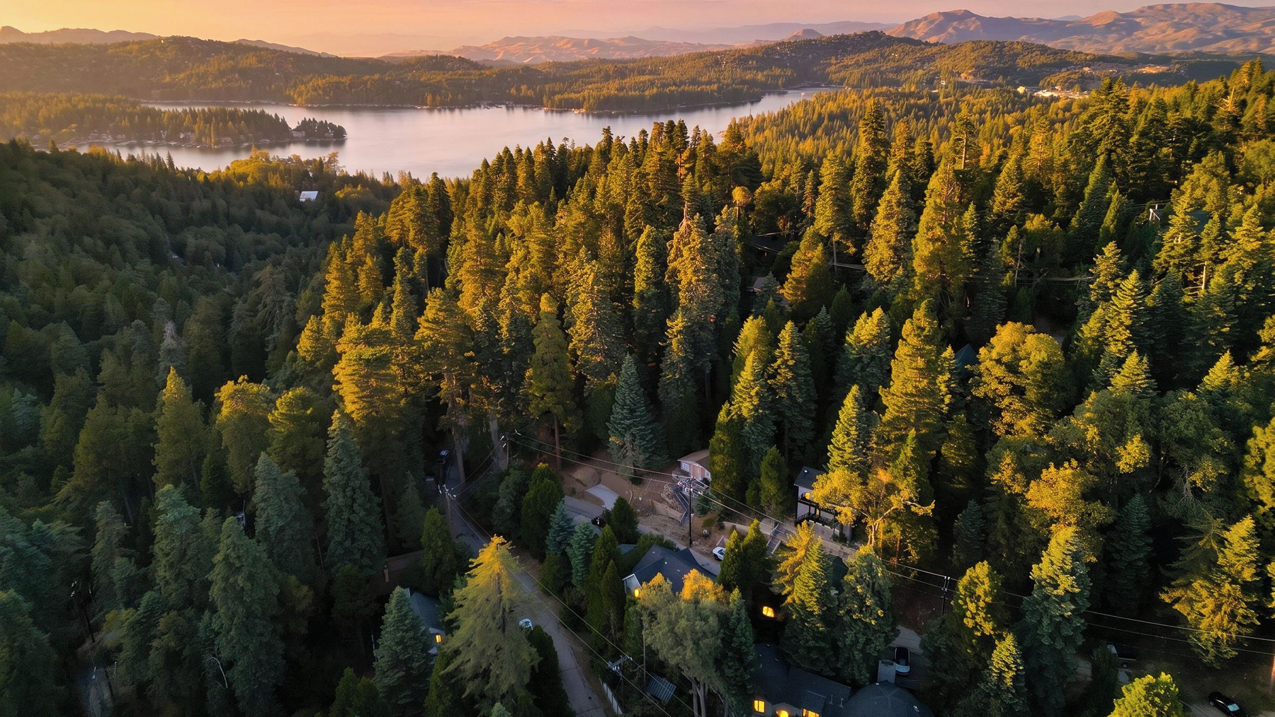 Un área boscosa con un lago y un pequeño poblado con casas y una carretera.