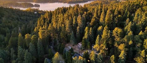 A forested area with a lake and a small settlement with houses and a road.