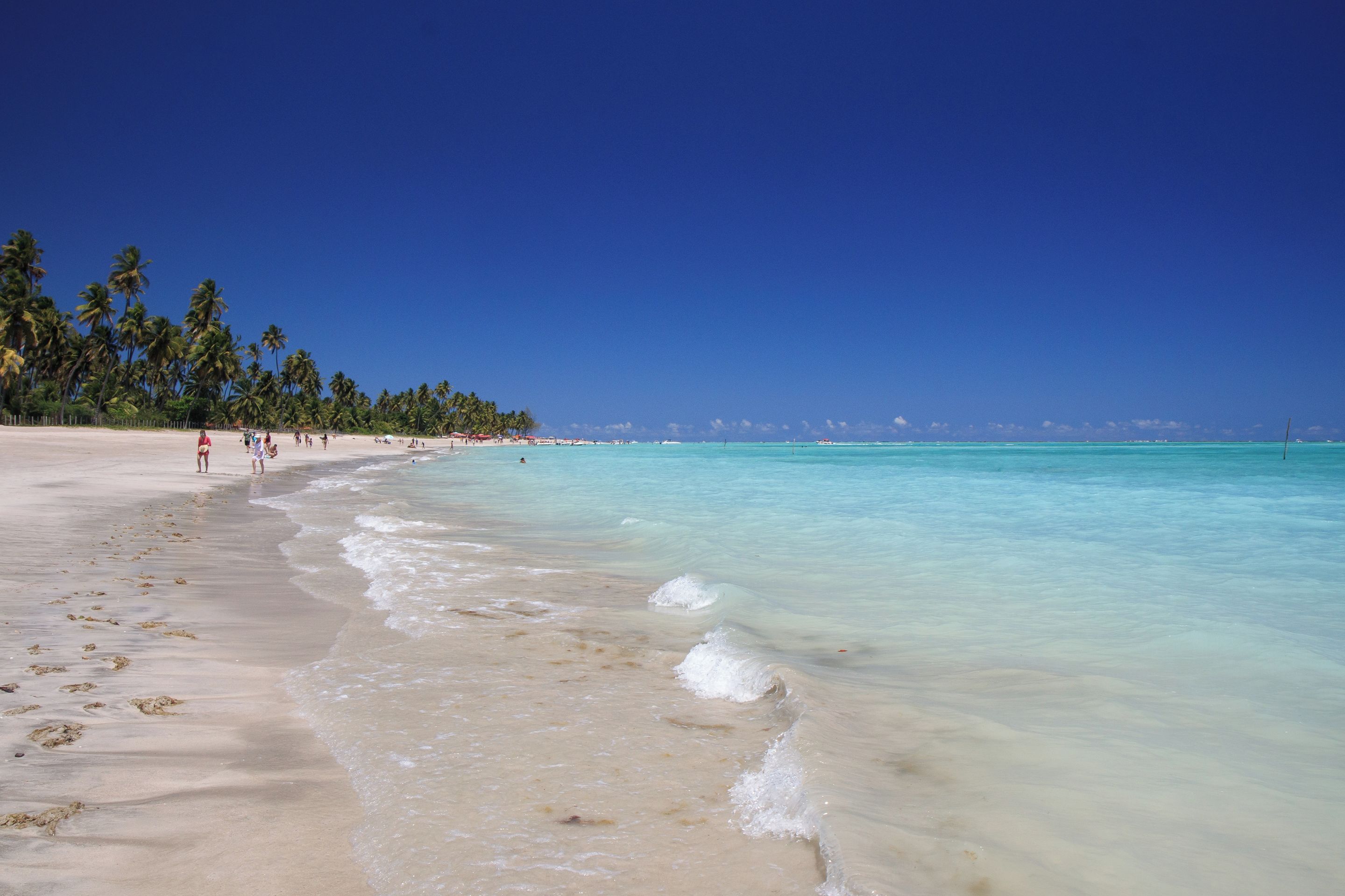 Een strand met helder turquoise water, palmbomen en een zandstrand.