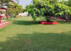 A well-maintained grassy area with a tree in a red planter, surrounded by a low wall and additional greenery.