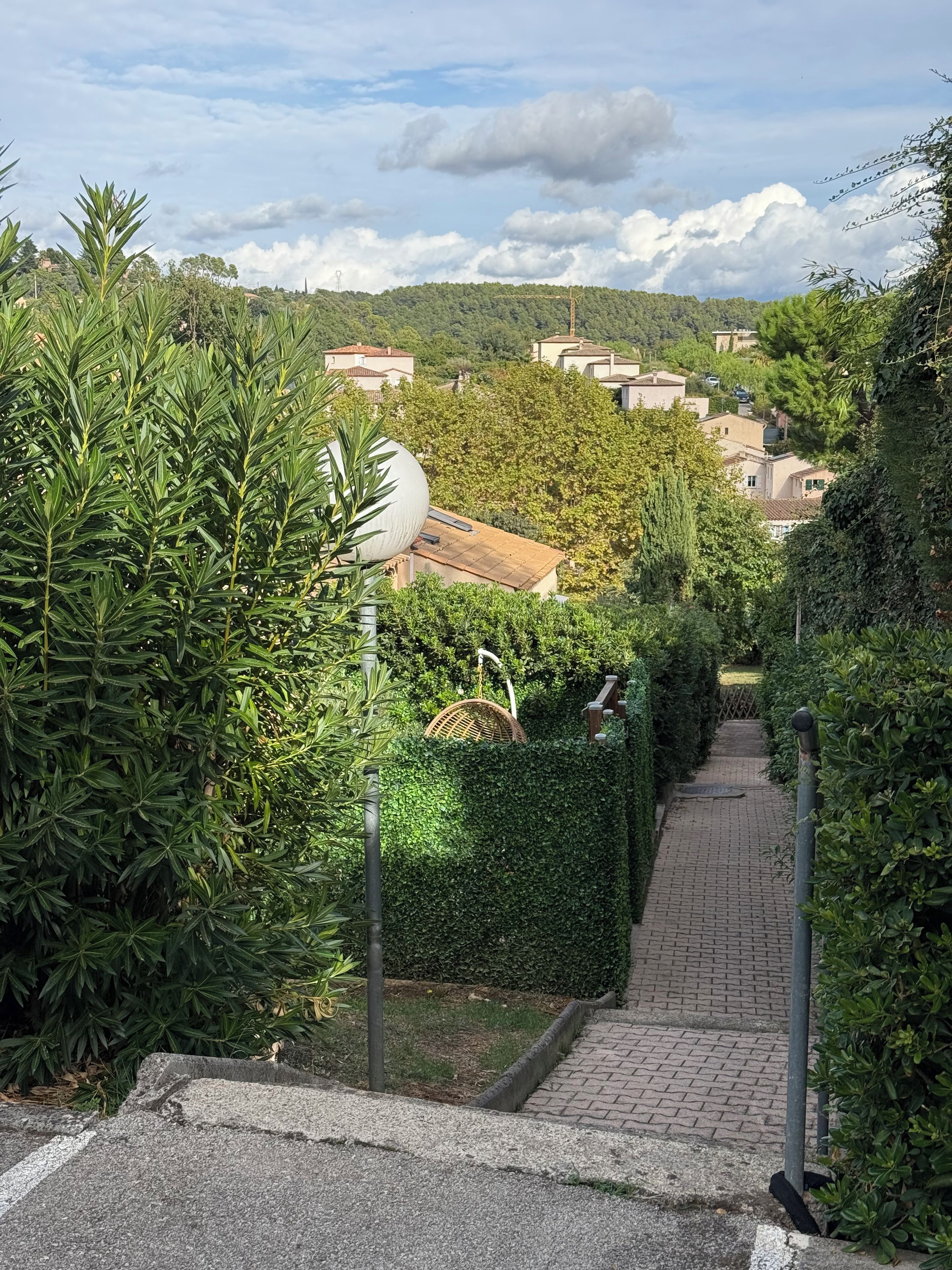 A pathway leading through a lush green area with a view of houses in the distance.