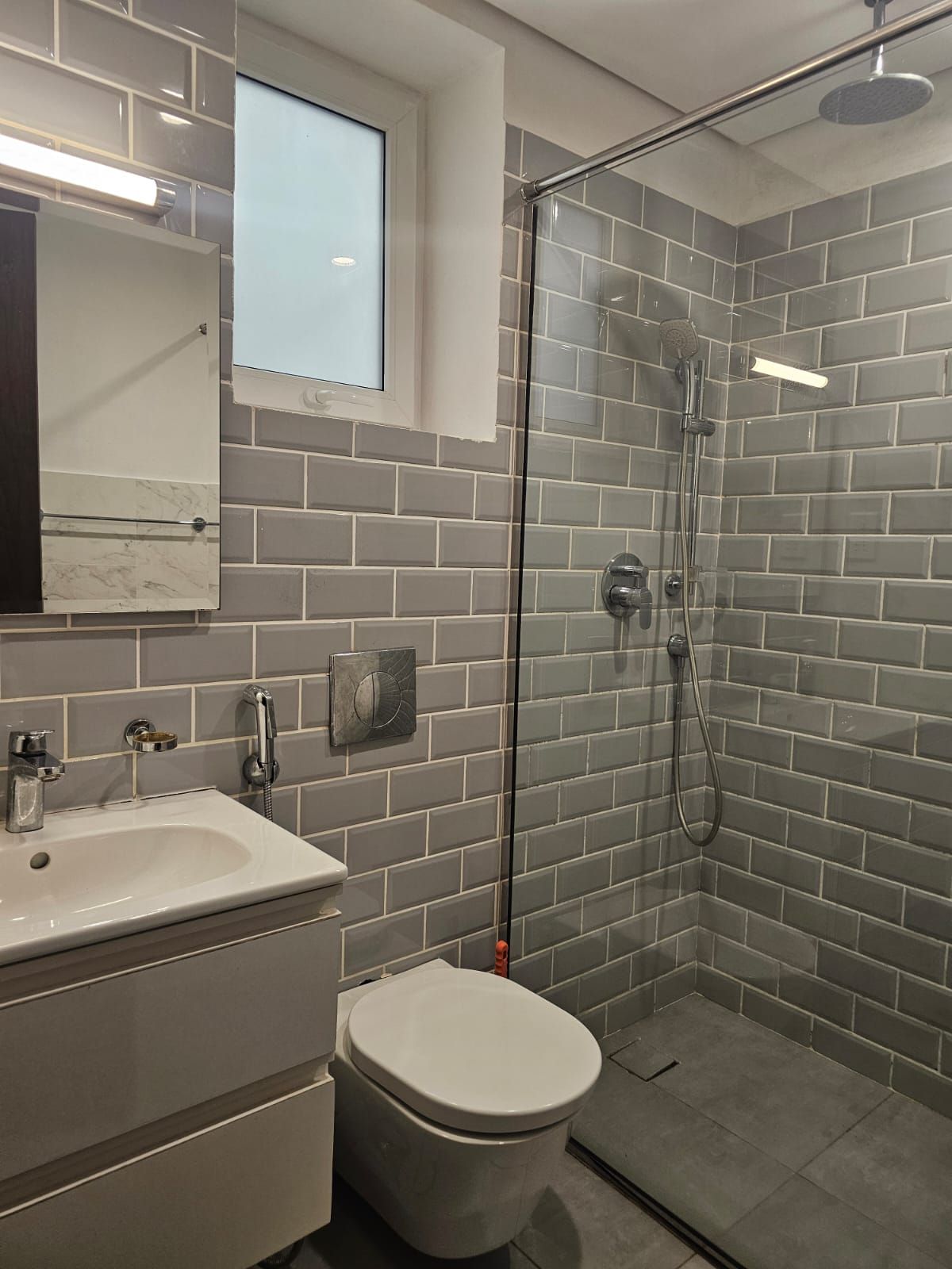 A modern bathroom with a glass shower enclosure, a white sink, and a toilet.