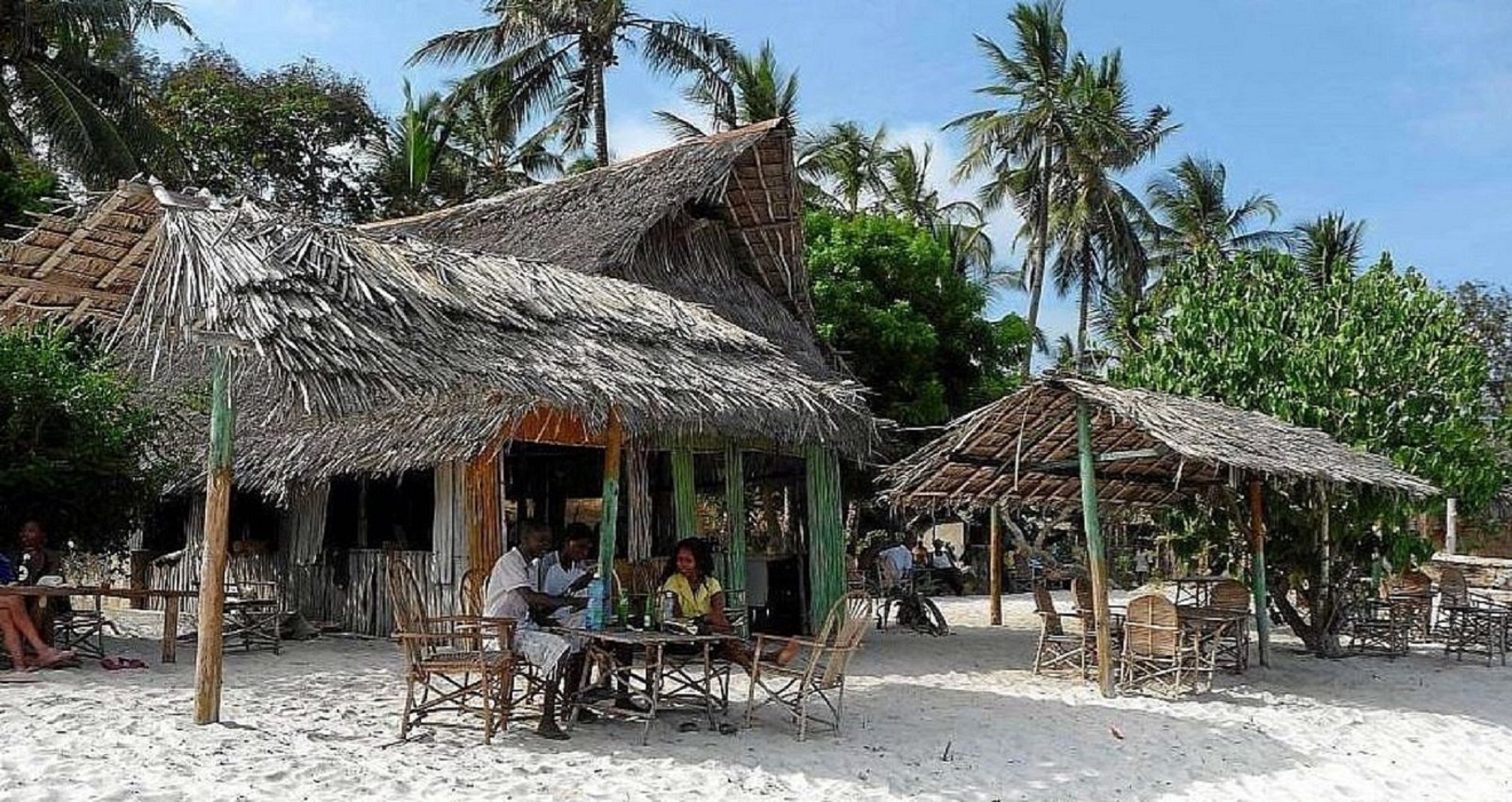 A beachside hut with a thatched roof, surrounded by palm trees and other vegetation.
