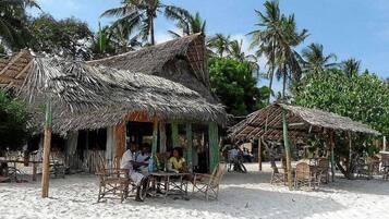 A beachside hut with a thatched roof, surrounded by palm trees and other vegetation.