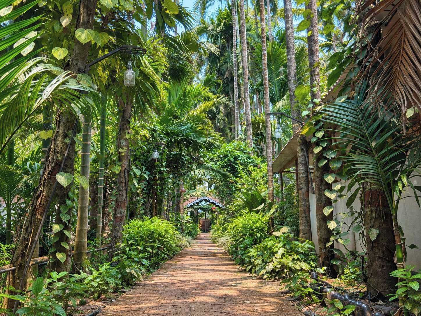 A pathway flanked by lush tropical vegetation and a structure with a thatched roof.