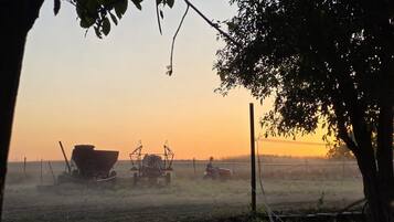 Un paysage rural avec des engins agricoles, une clôture et un arbre au premier plan.