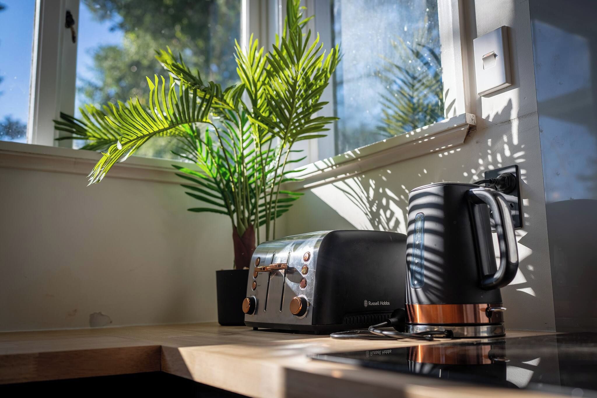 A kitchen counter with a toaster, a coffee maker, and a potted plant.