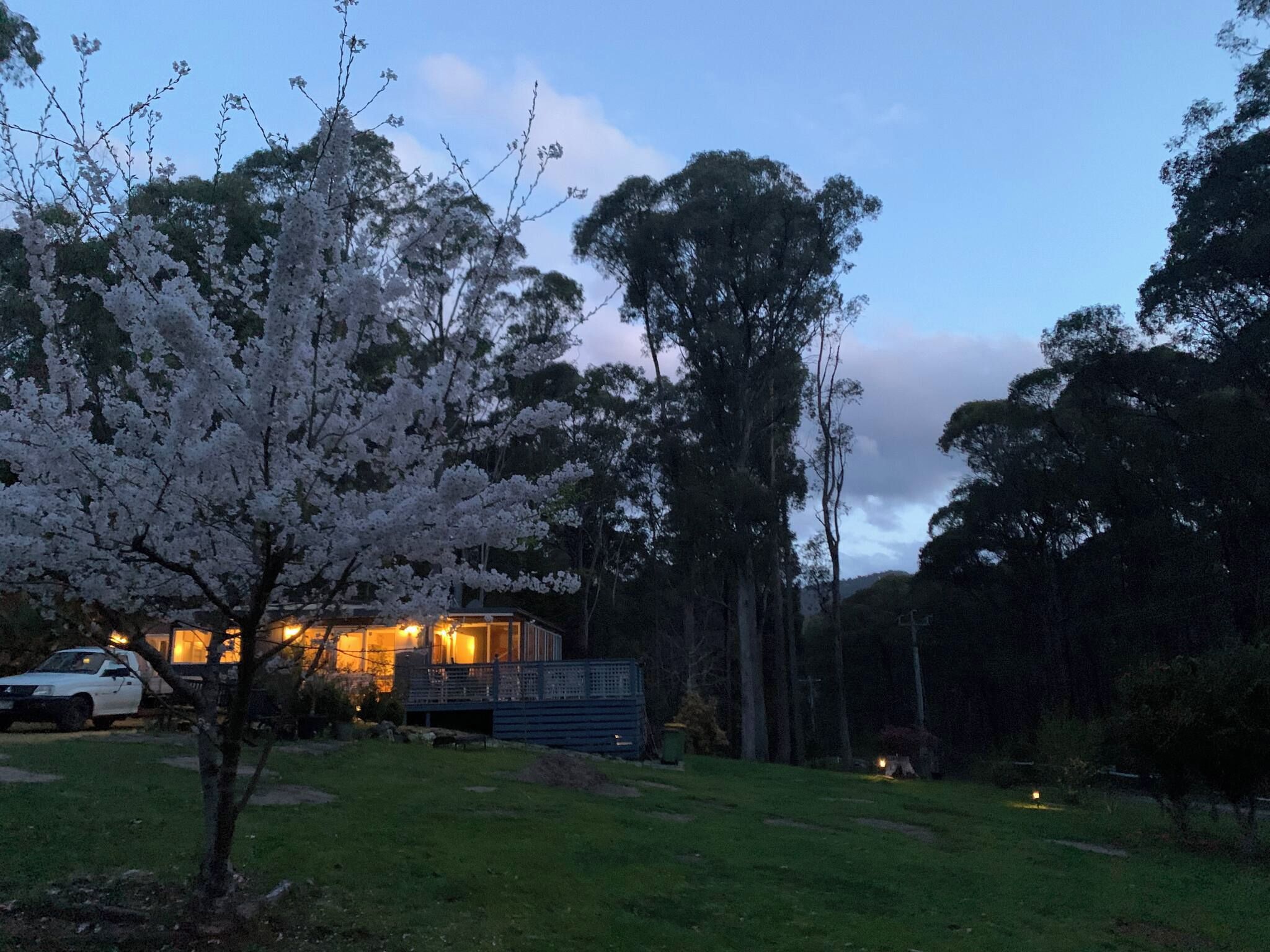 A residential property with a house, a car, and a tree with white blossoms.