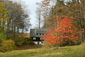 A house with a sloped roof surrounded by trees with autumn foliage.