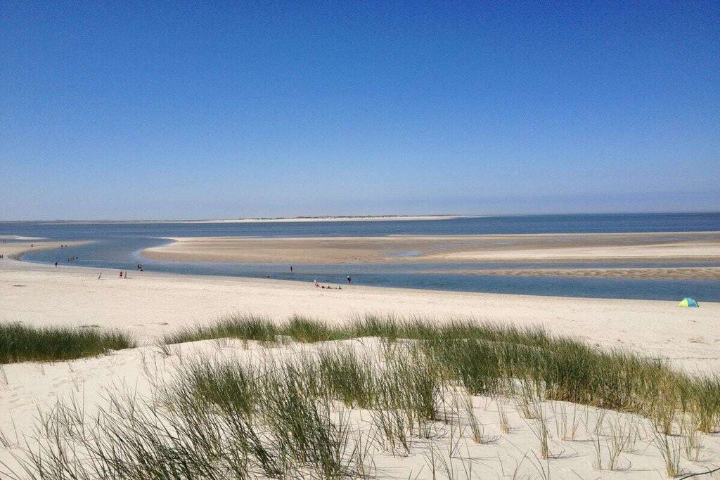 A beach with sand dunes and a clear sky.