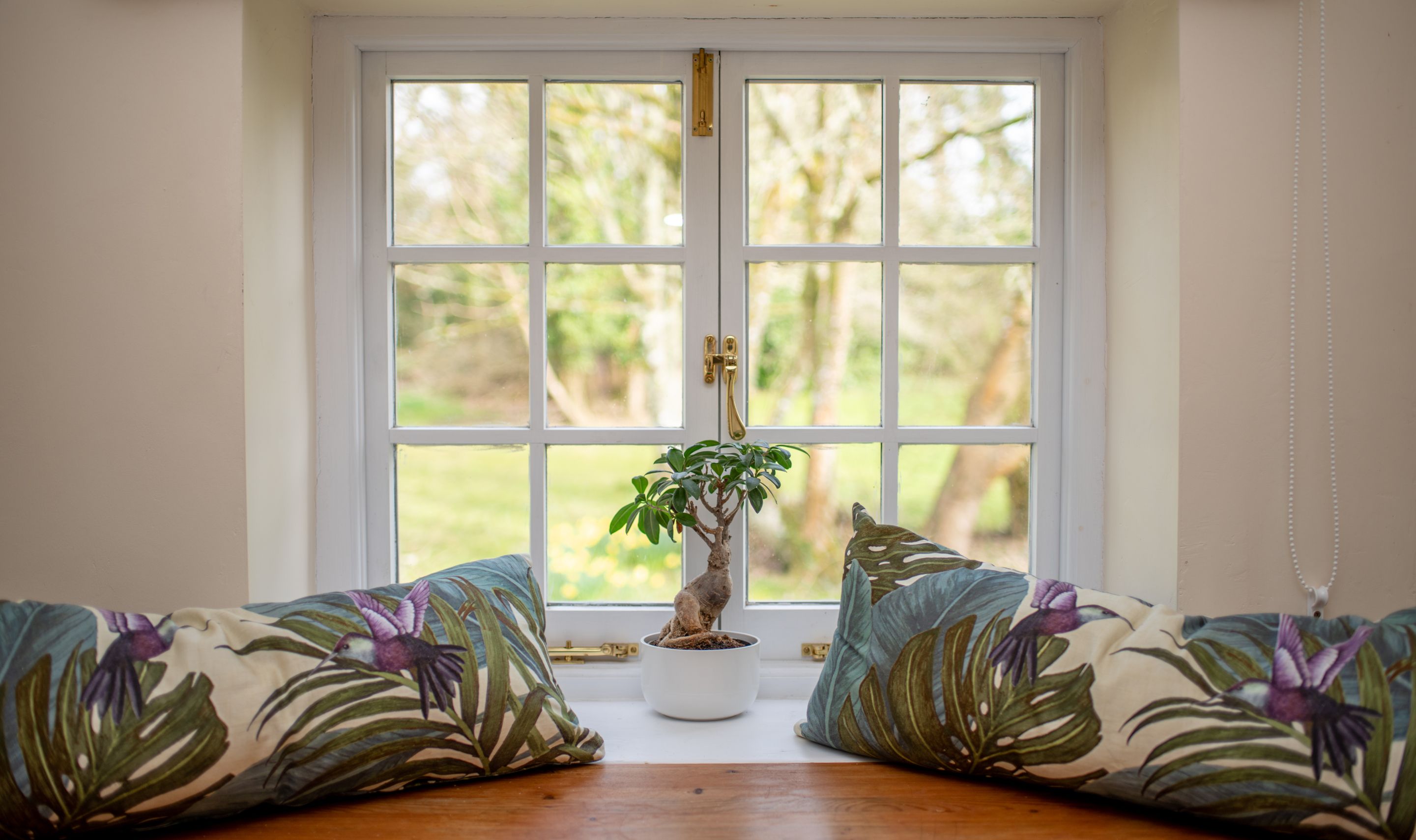 Una habitación con un ventanal grande, una planta en maceta sobre el alféizar y cojines estampados sobre un banco.