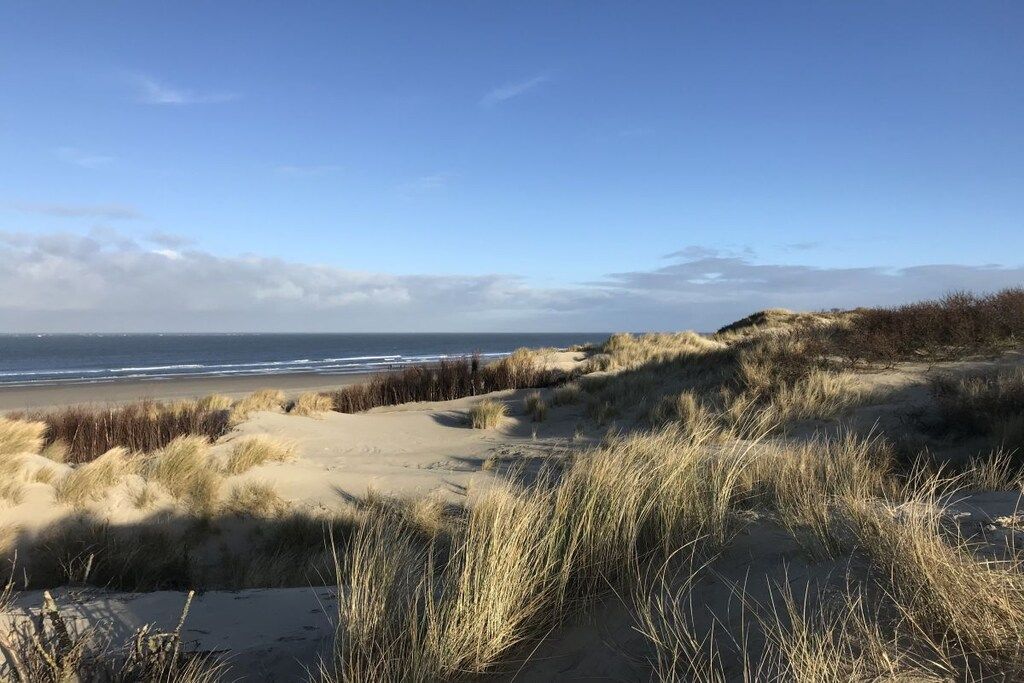 Una playa con dunas y cielo despejado.