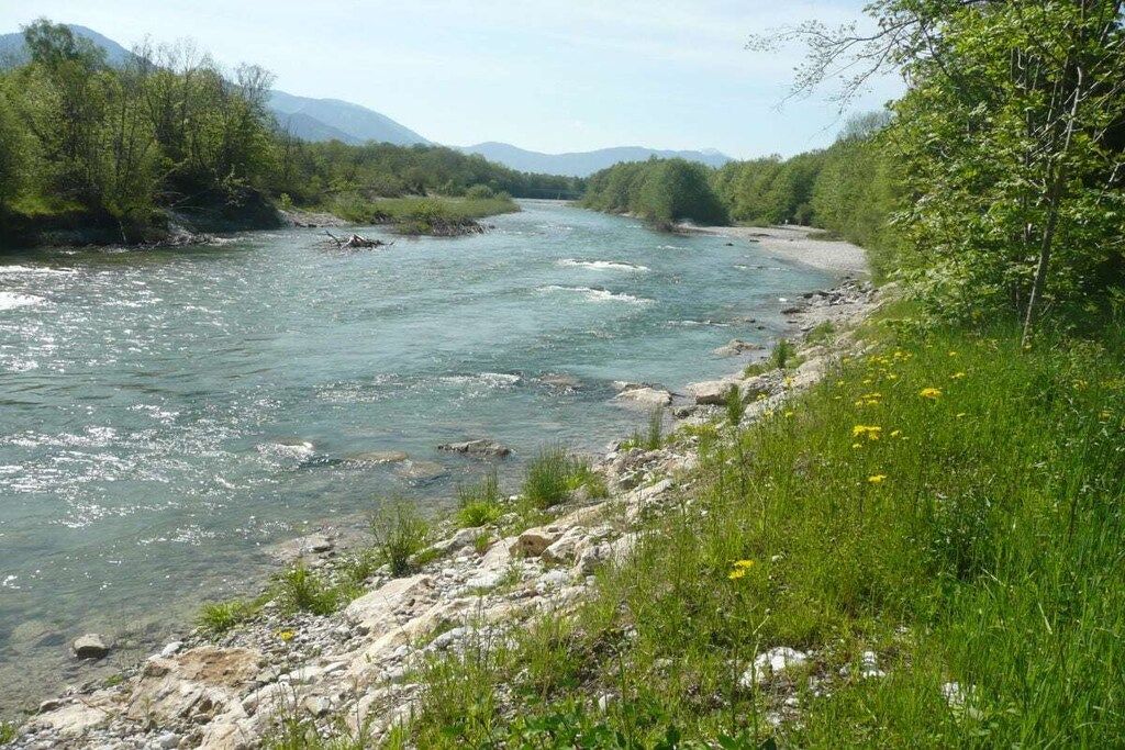 A river flowing through a rocky landscape with trees and mountains in the background.