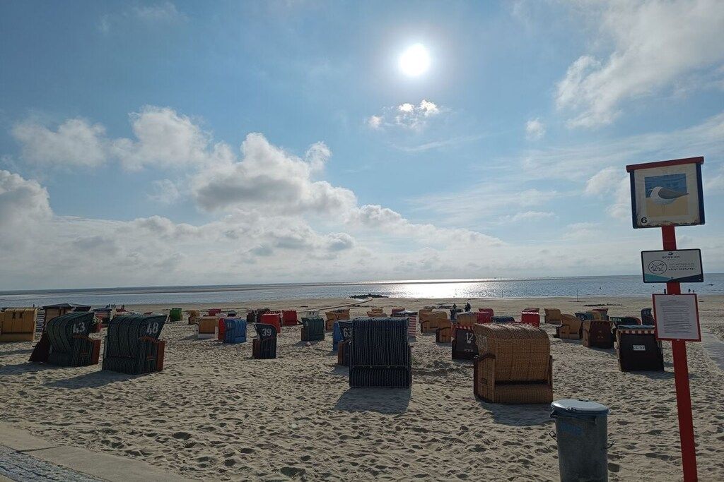 A beach with numbered beach chairs and a signpost.