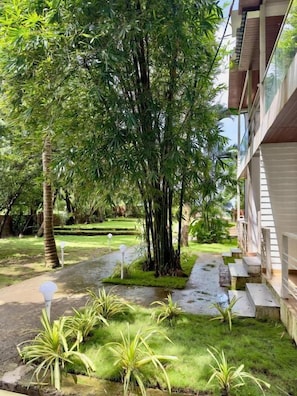 Un jardín con un sendero, un árbol grande y un edificio con balcón.