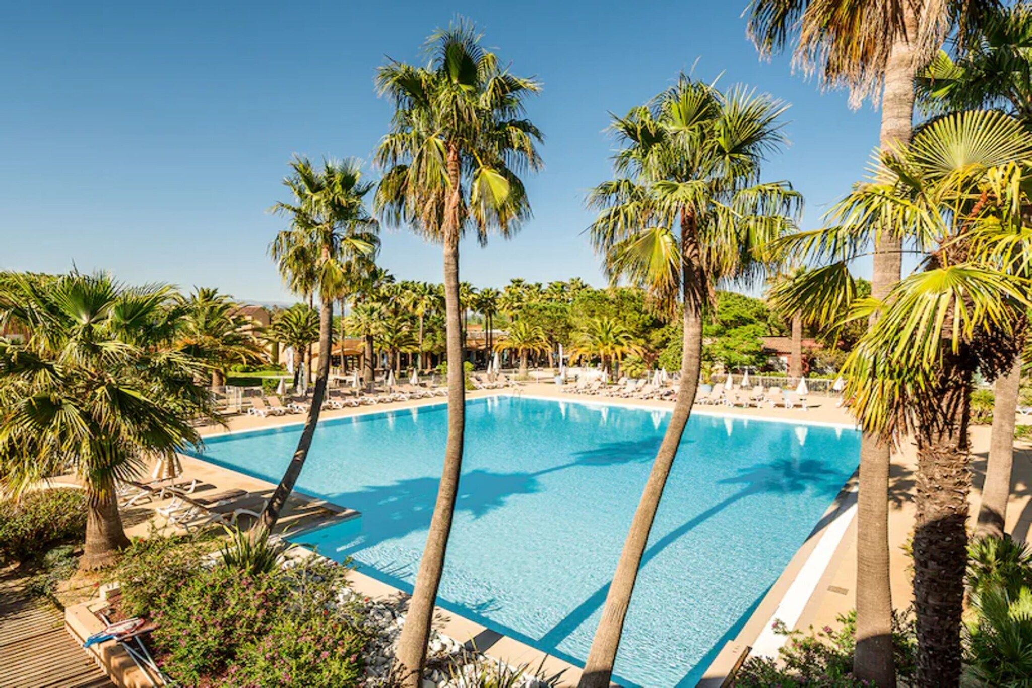 A large swimming pool surrounded by palm trees and lounge chairs.